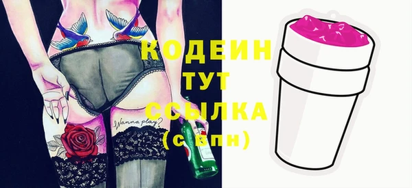мдпв Осташков