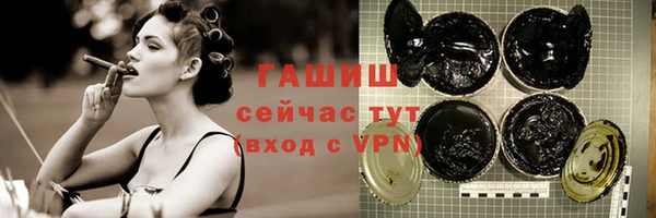 мдпв Осташков