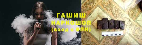 мдпв Осташков