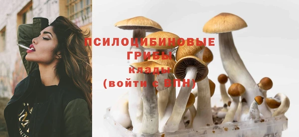 мдпв Осташков