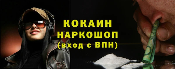 мдпв Осташков