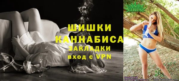 мдпв Осташков