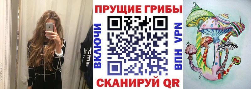 Галлюциногенные грибы Psilocybe  Почеп 